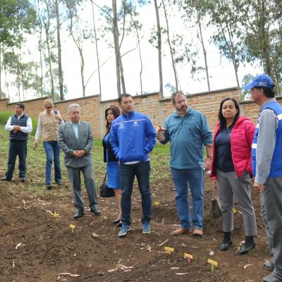 Visita PMA